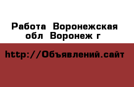  Работа. Воронежская обл.,Воронеж г.